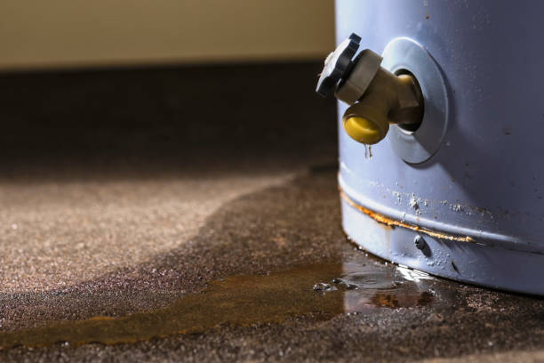 Best Water damage repair service  in Miami, OK