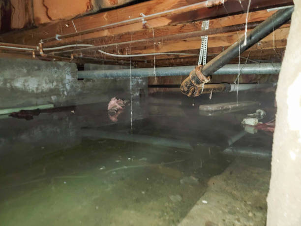  Miami, OK Water damage restoration Pros