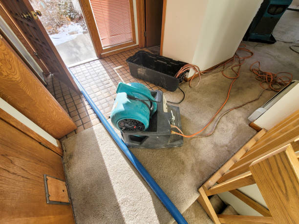 Best Basement water damage restoration  in Miami, OK