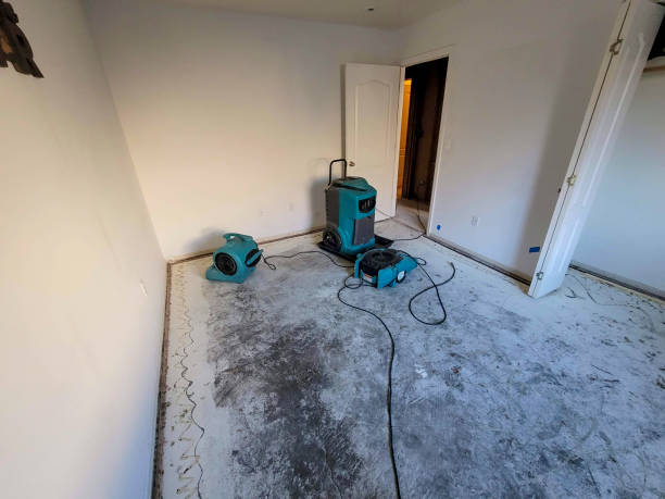 Best Carpet water damage restoration  in Miami, OK