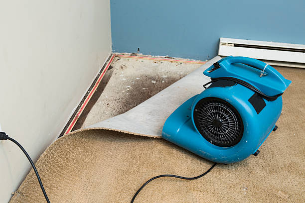 Best Water damage contractors near me  in Miami, OK